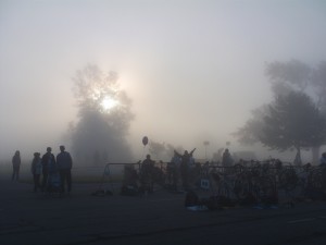 Foggy Morning