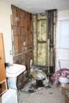 2009-a-year-in-photos-02 The shower had to be torn out...